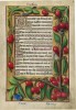 f. 85r