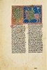 f. 20v, La femme sur la b&ecirc;te