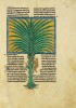 f. 89r, Le palmier des justes