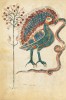 f. 18v Conclusione allegorica del ciclo Cristologico: L�uccello e il serpente 