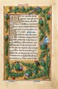 f. 77r, Distel