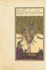 f. 83r, The Tale of the Land of the Tribe of Monkeys