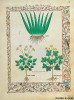 folio 112r