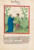 f. 32v, Echter Alant