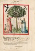 f. 3v, Birne