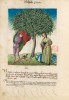 f. 7v, Mispeln