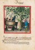 f. 52v, Herbst