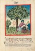 f. 14r, Chestnuts