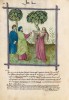 f. 95v, Zorn