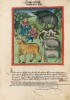 f. 69r, Verschnittene Tiere