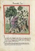 f. 25v, Tr�ffel