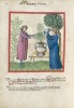 f. 30v, Majoran