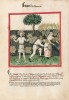 f. 52r, Sommer