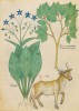 f. 19v