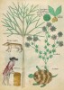 f. 98v