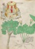 f. 101v
