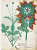 f. 40r