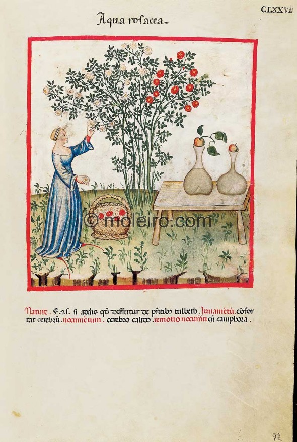 Theatrum Sanitatis (1374)
