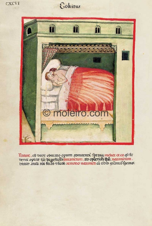 Theatrum Sanitatis (1375)