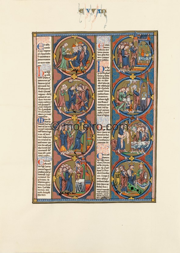 vol.3, f. 51v, Bibbia di San Luigi