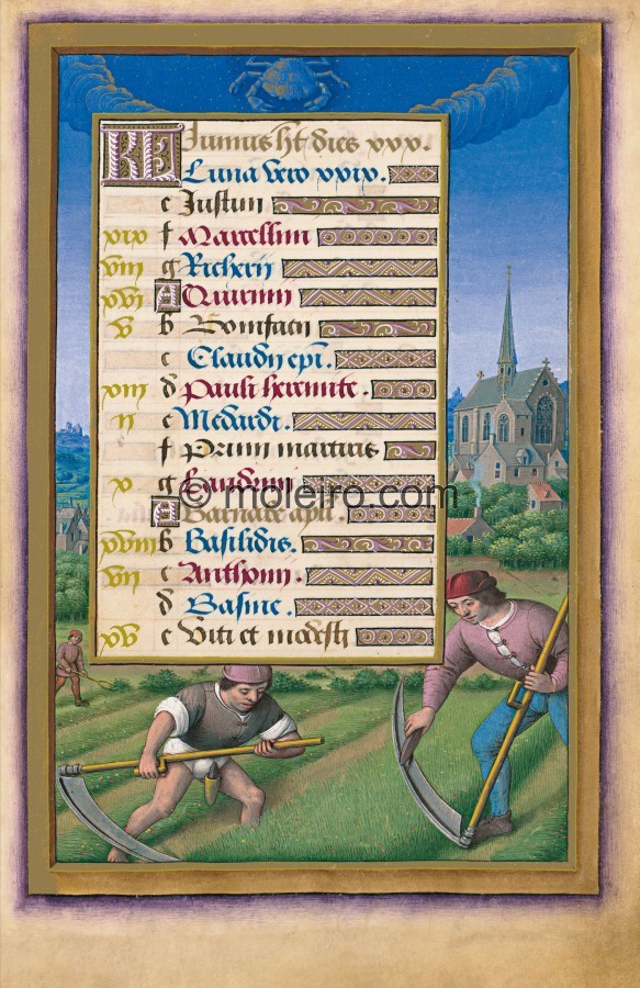 f. 9, Kalender: Juni. Die Grandes Heures der Anna von der Bretagne lassen uns einen spektakul&auml;ren Kalender entdecken, d...