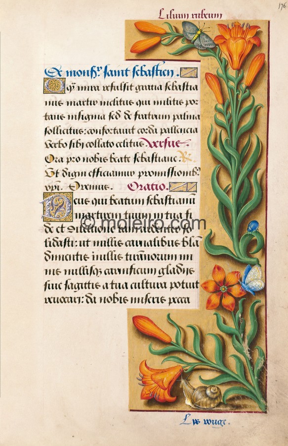 Gran Libro d&rsquo;Ore d&rsquo;Anna di Bretagna (4fcddd5f613e3)