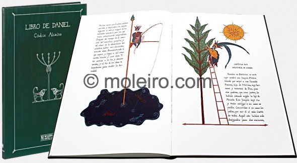 Libro de Daniel (4c80cc933c1a7)