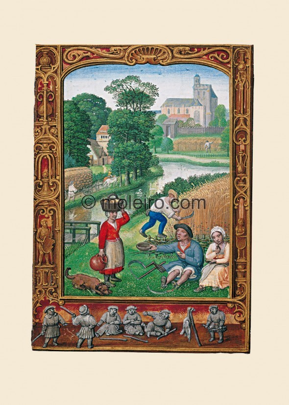 f. 25v, August, harvest. The painting shows different aspects of peasant occupations in the month of August. Several peasants ar...