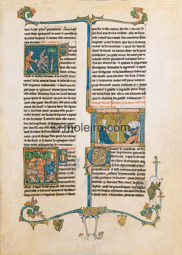 f. 59r, Livro do Tesouro