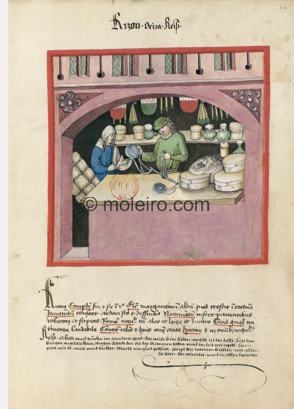 f. 44r, Rice. Rice. Nature: cold and dry in the second degree. Optimum: pearl rice that smells when cooked. Benefit: useful for ...