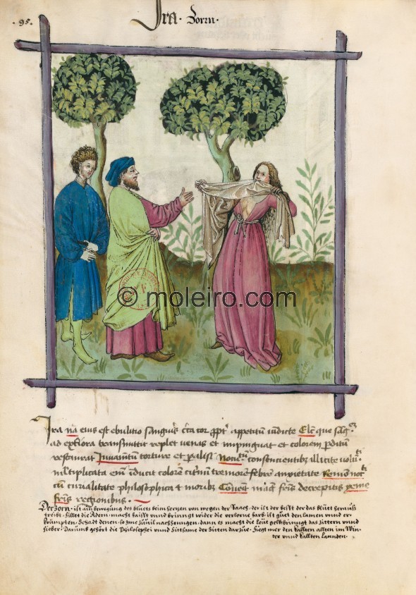 f. 95v, Anger. Anger. Its nature is a state of flux of the blood around the heart due to a desire for revenge. Optimum: the type...