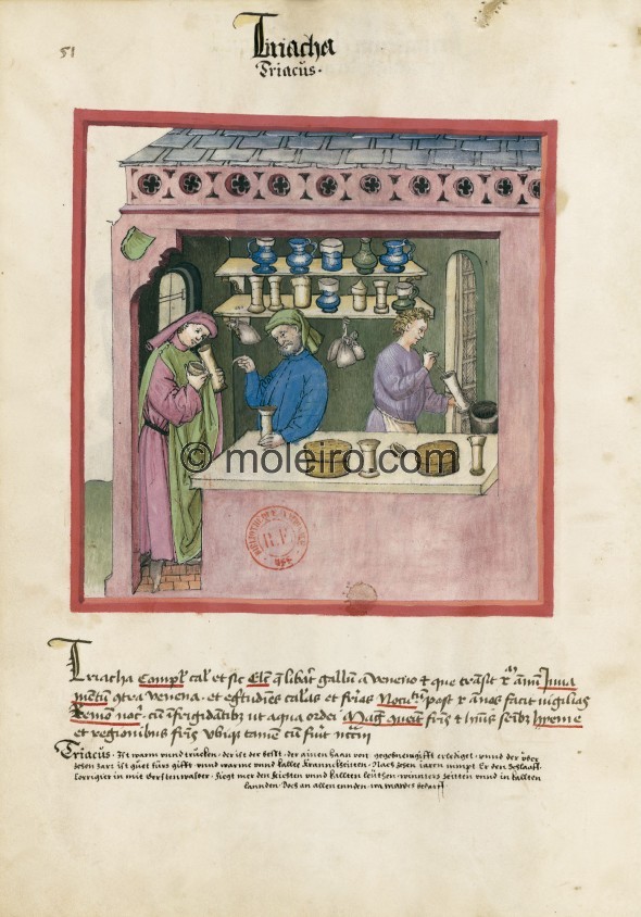 f. 51v, Theriak. Theriac. Nature: hot and dry. Optimum: the type that saves the cockerel from poison and more than ten years old...
