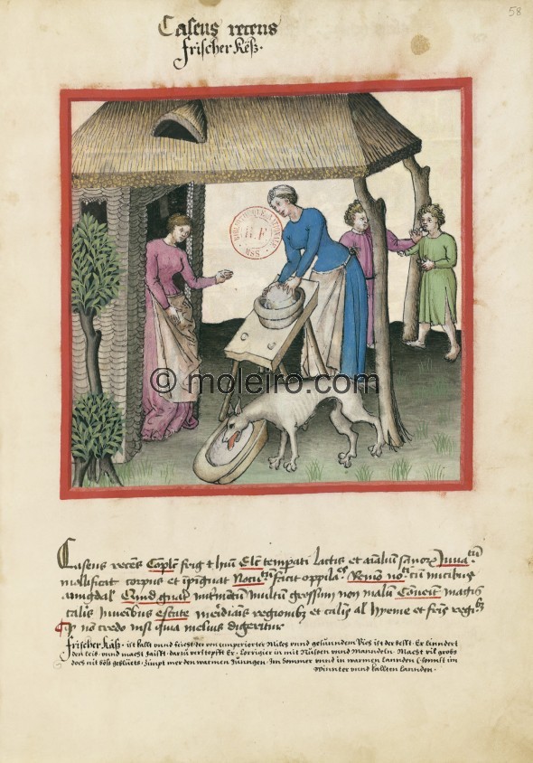 f. 58r, Fresh cheese. Fresh cheese. Nature: cold and wet. Optimum: from temperate milk and healthy animals. Benefit: it relaxes ...