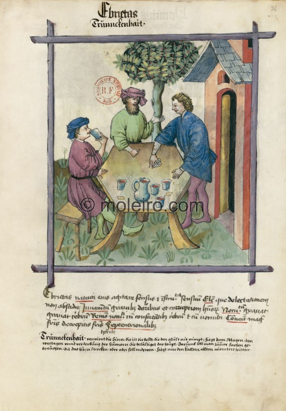 f. 96r, Trunkenheit. Drunkenness. Its nature is an alteration of the senses and the sensorial organs. Optimum: the type that doe...