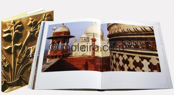 Taj Mahal (547)