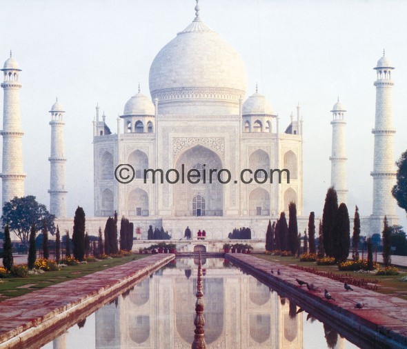 Taj Mahal (402)