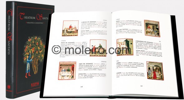 Theatrum Sanitatis (4ee9f93e5e907)