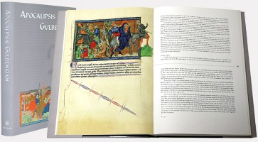 volumen de estudio 