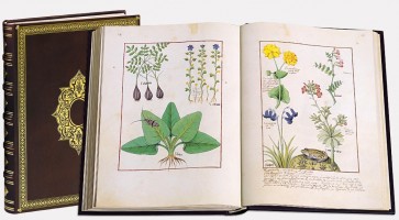 The Book of Simple Medicines