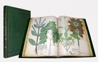 Tractatus de Herbis