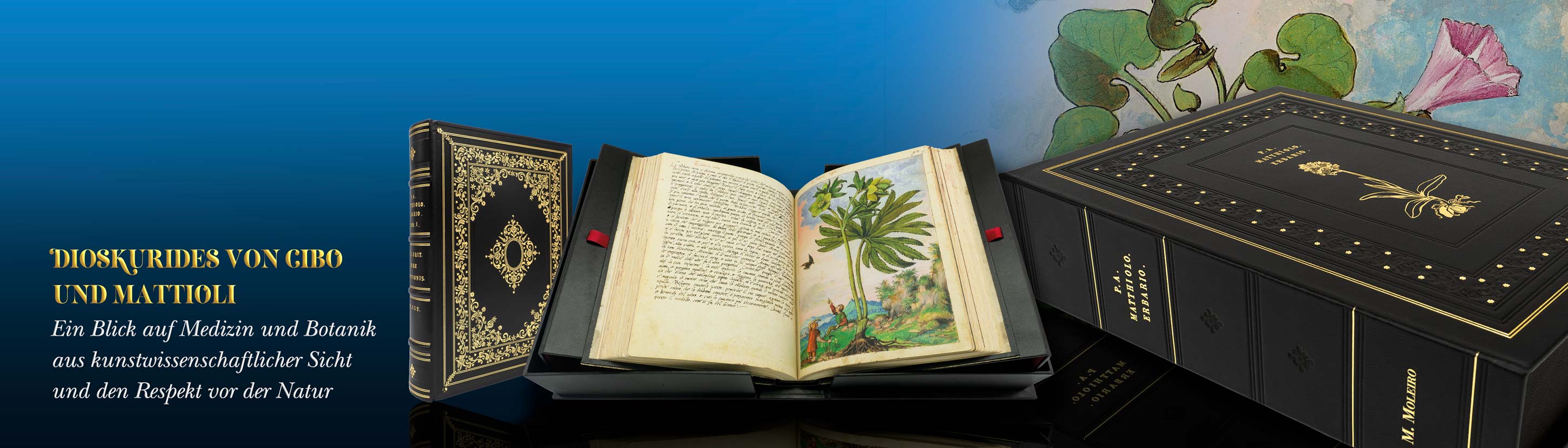 Dioskurides von Cibo und Mattioli. Ein Blick auf Medizin und Botanik aus kunstwissenschaftlicher Sicht und den Respekt vor der Natur.