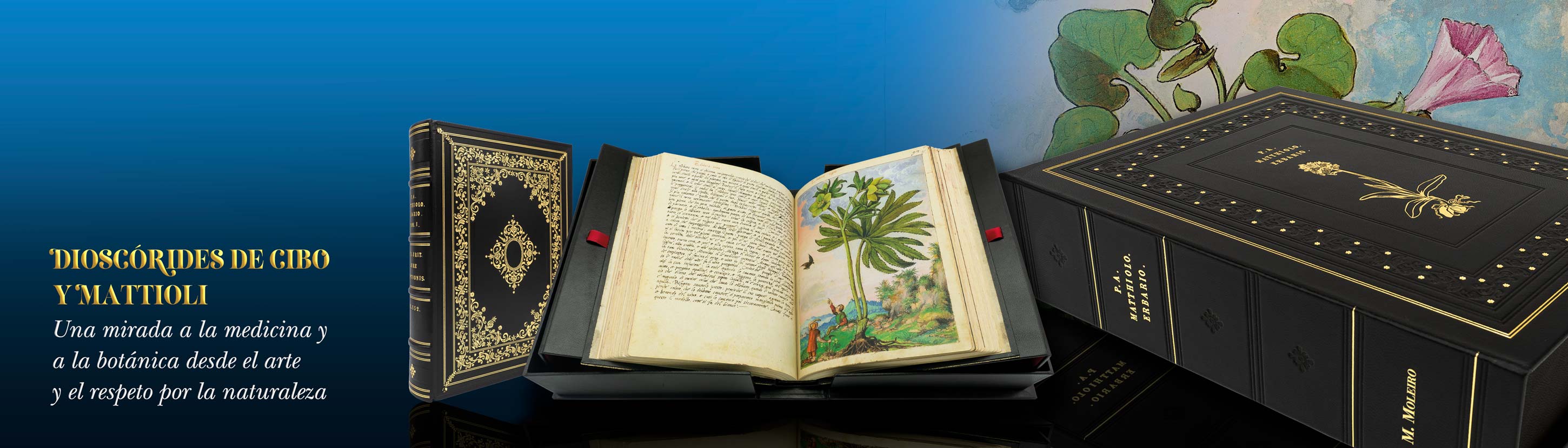 Dioscorides de Cibo y Mattioli. Una mirada a la medicina y a la botnica desde el arte y el respeto a la nautraleza