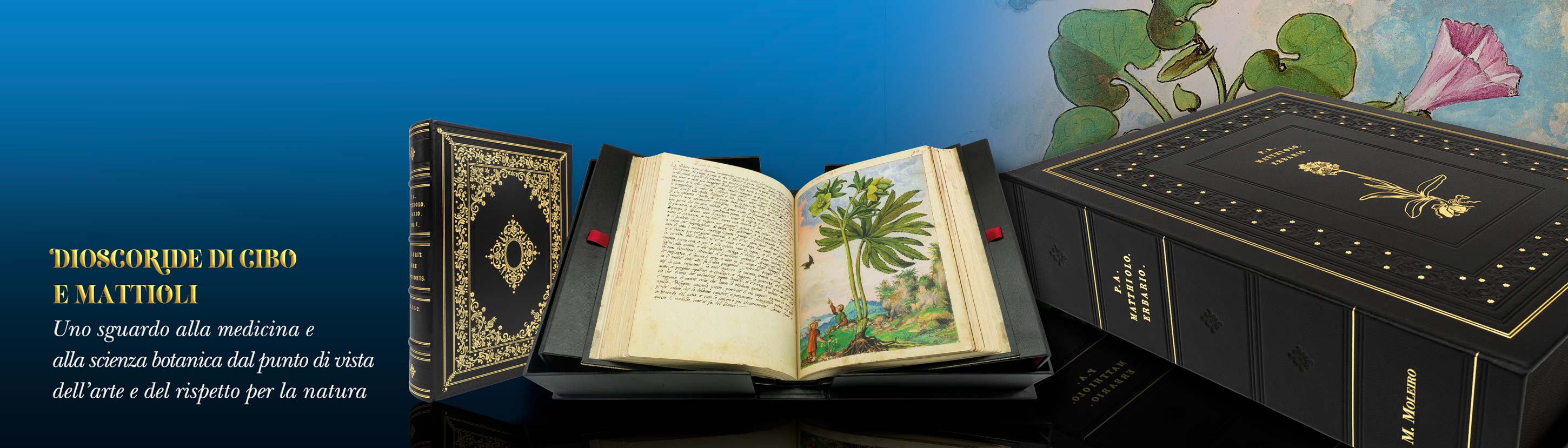 Dioscoride di Cibo e Mattioli. Uno sguardo alla medicina e alla scienza botanica dal punto di vista dellarte e del rispetto per la natura.