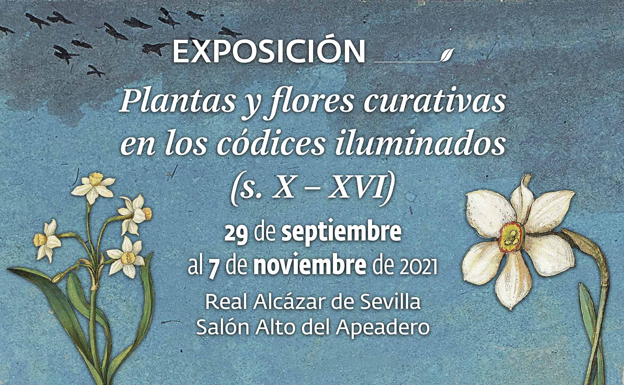 EXPOSICIÓN Plantas y flores curativas en los códices iluminados (s. X - XVI)